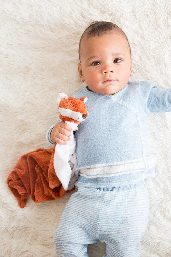 Fox Blankie